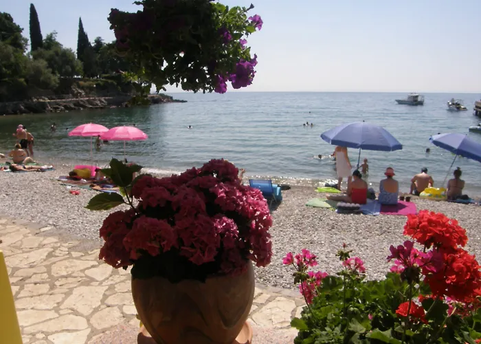 Готель Schubert 4*